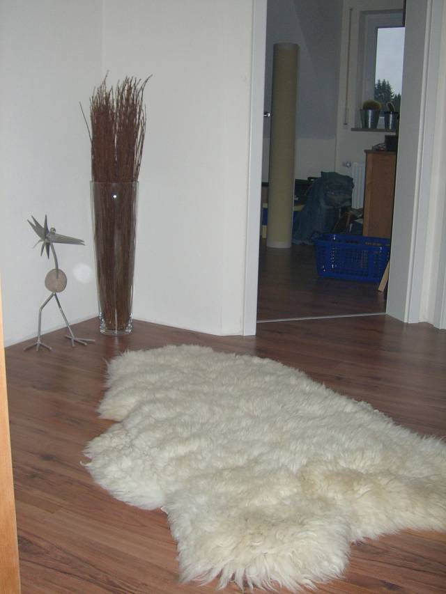 Bild 48