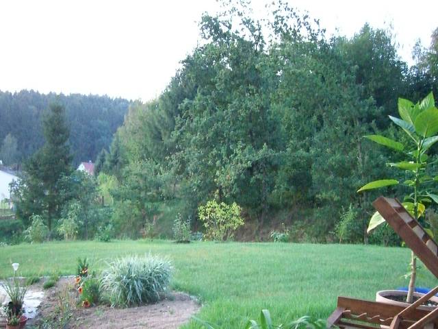 Bild 24