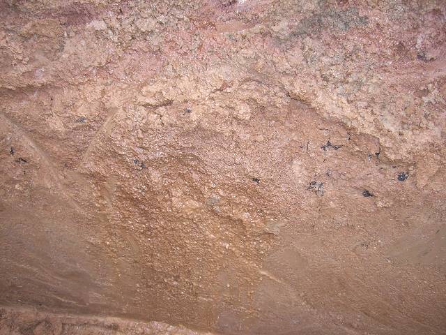 Bild 24