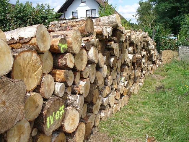 Bild 24