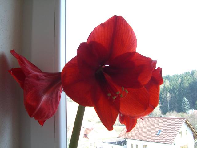 Bild 24