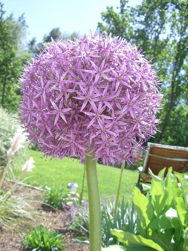 Bild 48