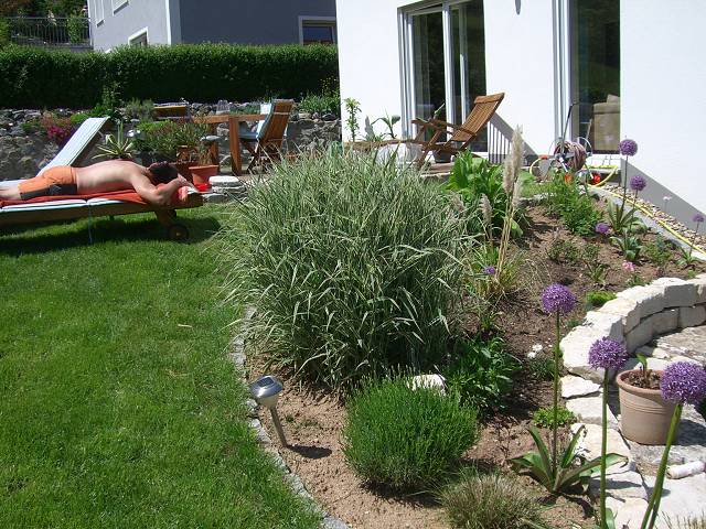 Bild 48
