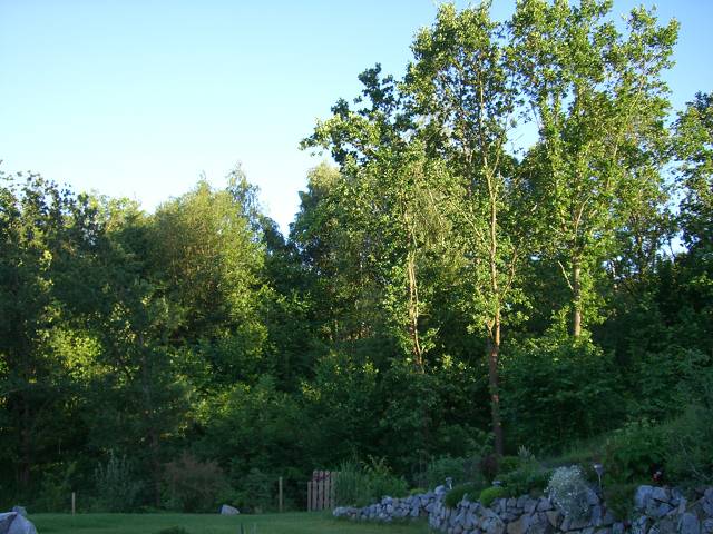 Bild 48