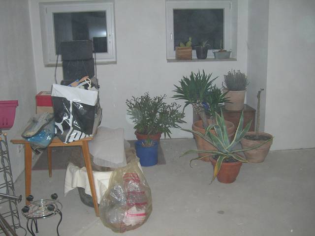 Bild 24