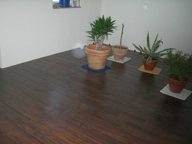 Bild 24