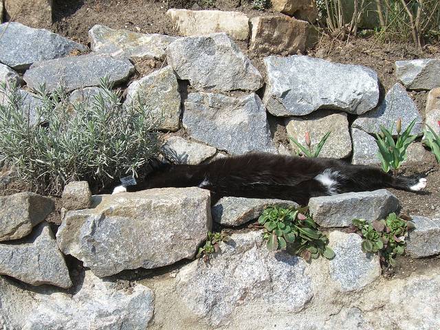 Bild 24