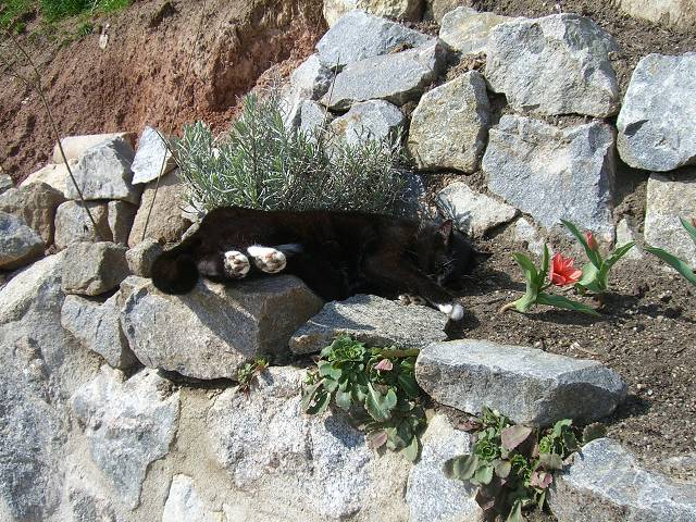 Bild 24