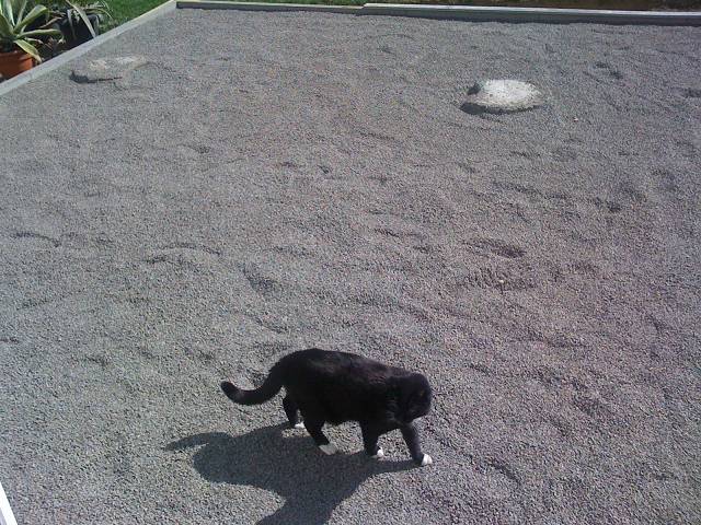Bild 24