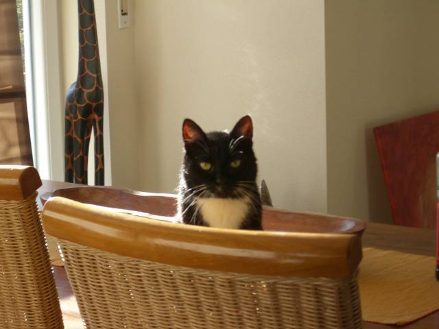 Bild 24