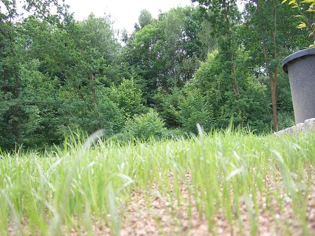 Bild 24
