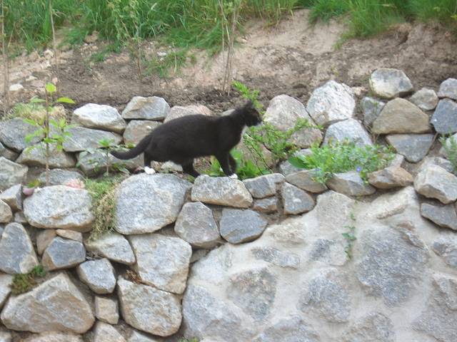 Bild 24