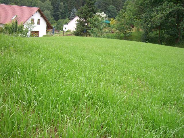 Bild 24