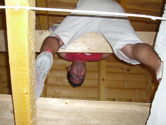 Bild 48