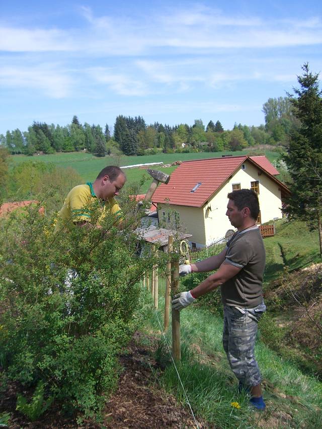 Bild 24