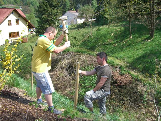 Bild 24