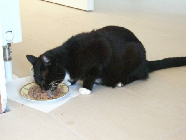 Bild 24