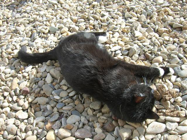 Bild 24