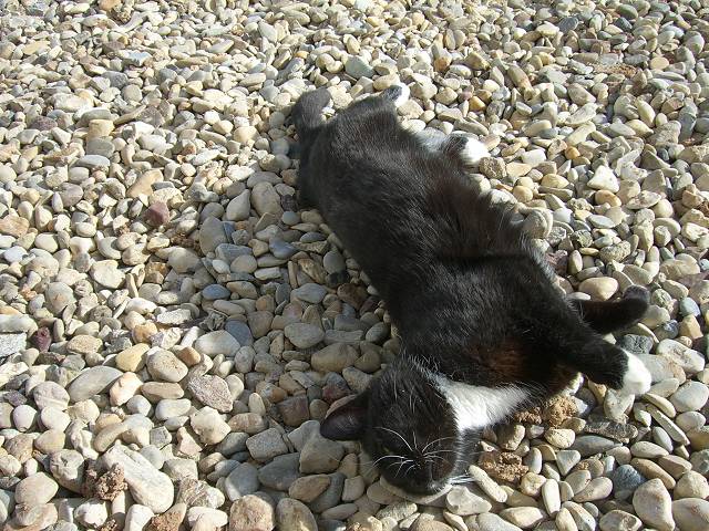Bild 24